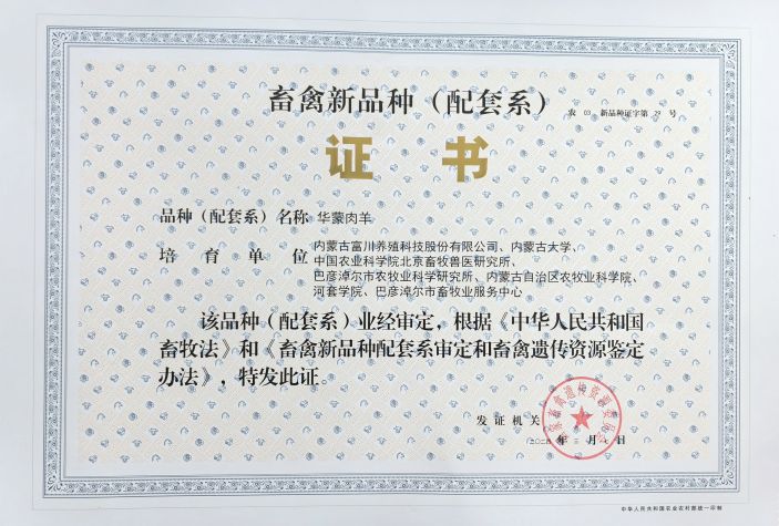 華蒙肉羊獲得畜禽新品種(配套系)證書(shū)
