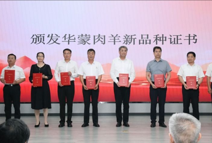 華蒙肉羊新品種成果推介會(huì)暨《2024—2030年巴彥淖爾肉羊產(chǎn)業(yè)戰(zhàn)略發(fā)展規(guī)劃》論證會(huì)舉行